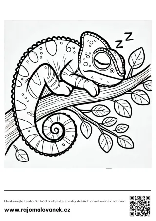Chameleóny – omaľovánka 3 Čiernobiela omaľovánka s motívom chameleóny, obrázok 3, pripravená na vytlačenie