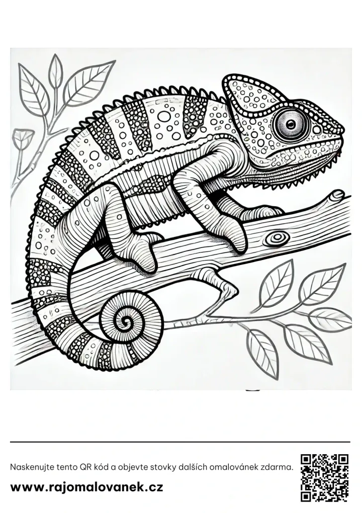 Chameleóny – omaľovánka 9 Čiernobiela omaľovánka s motívom chameleóny, obrázok 9, pripravená na vytlačenie