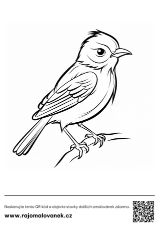 Vtáky a papagáje – omaľovánka 1 Čiernobiela omaľovánka s motívom vtáky a papagáje, obrázok 1, pripravená na vytlačenie